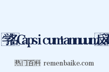 学名：Capsicum+annuum反义词是什么意思的图片